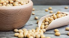 Rola naturalnych emulgatorów w poprawie jakości produktów spożywczych