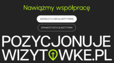 Pozycjonowanie wizytówki Google Moja Firma – jak poprawić widoczność firmy w Google Maps?