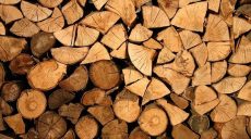 Rębaki do drewna – szybkie, skuteczne i niezastąpione narzędzia w obróbce drewna