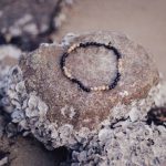 Kamienie do bransoletek – naturalne surowce o estetycznych i użytkowych właściwościach